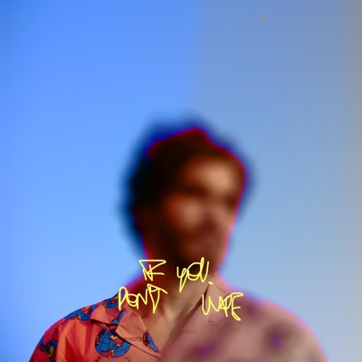 If You Don't Like - Single
