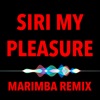 Marimba Remix