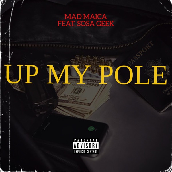 Up My Pole (feat. Sosa Geek) - Single album cover
