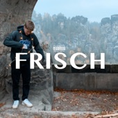 Frisch artwork