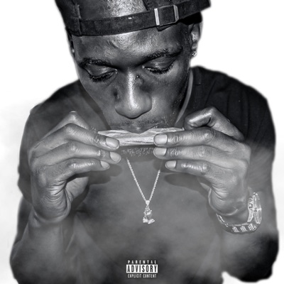 Stay High (Freestyle) - Single