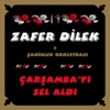 Zafer Dilek & Şahinler Orkestrası