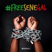 #FreeSenegal artwork