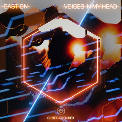 Voices in My Head - Single