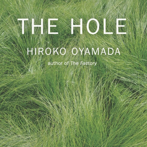 The Hole cover