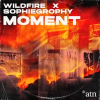 Moment (feat. Sophiegrophy) - Single - Wildfire