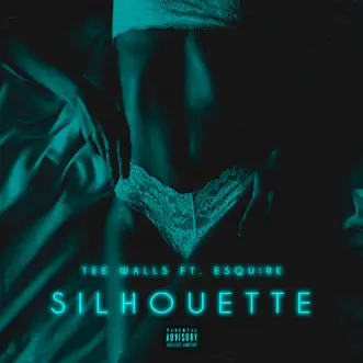 Silhouette (feat. Esquire) - Single by Tee Walls album reviews, ratings, credits