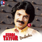 Derbeder - Ferdi Tayfur