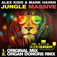 Jungle Massive - Single - Alex Kidd & Mark Haven