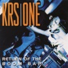 KRS-One Return of the Boom Bap