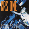 KRS-One - Sound of da Police artwork