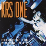 KRS-One - Sound of da Police
