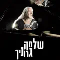  - ️ אילו פינו