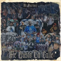 Me Gusto la Calle - Single - Mr. Martinez