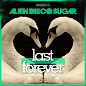Last Forever (Edit) artwork