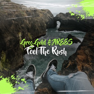 Feel the Rush - Single