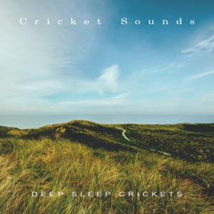 Deep Sleep Crickets