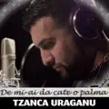 Mi