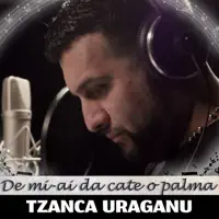 De Mi-Ai Da Cate O Palma — Tzanca Uraganu