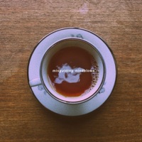 Misguiding Windblows - Single - sweepy