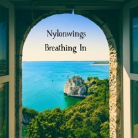 Breathing In - Single - Nylonwings