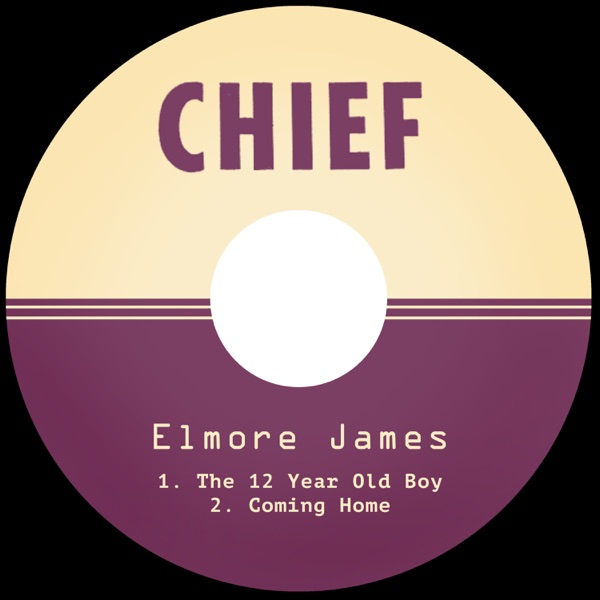 The 12 Year Old Boy / Coming Home - Single