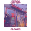 Planer - Single