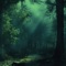 Bassy - Forest lyrics