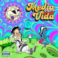 Media Vida - Safese