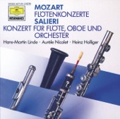 Concerto in C for Flute, Oboe, and Orchestra - Cadenzas by Heinz Holliger: II. Largo artwork