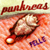 Punkreas - Pelle artwork