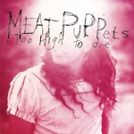Meat Puppets - Flaming Heart