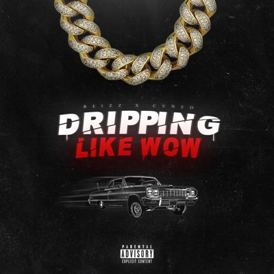 Dripping Like Wow (feat. Reizz) - Single