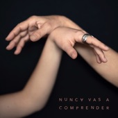 Nunca Vas a Comprender artwork