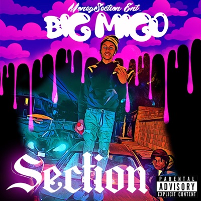 Section - Single