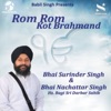Bhai Surinder Singh - Mere Satgura