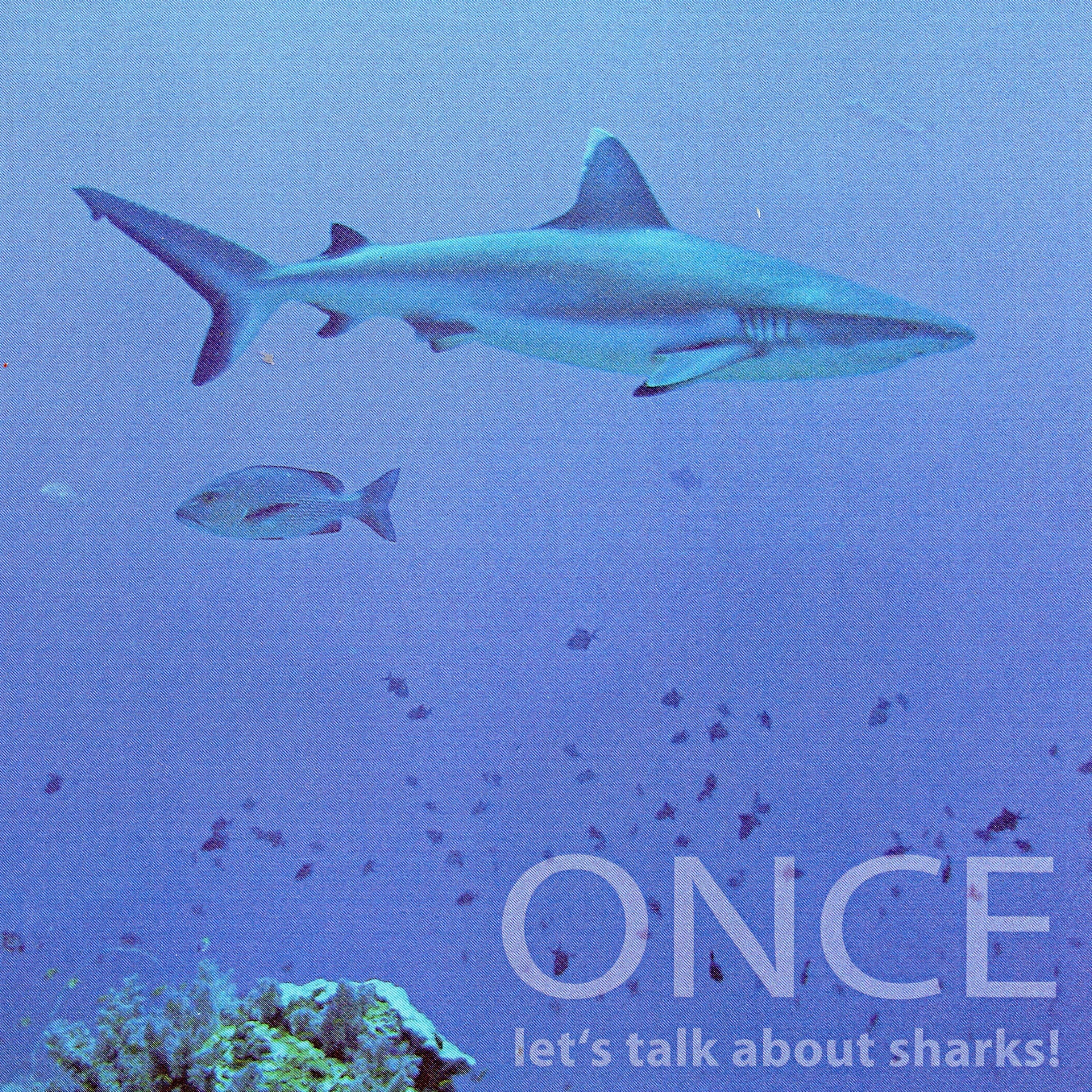 ONCE - Once