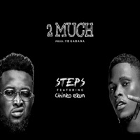 2 Much (feat. Chinko Ekun) - Single - Steps