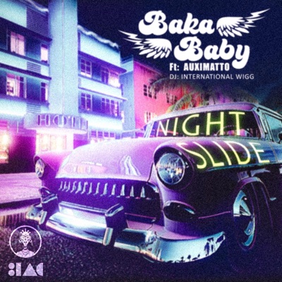 Night Slide - Single