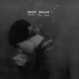 Southside (feat. Sid Diamond & Mareko) David Dallas