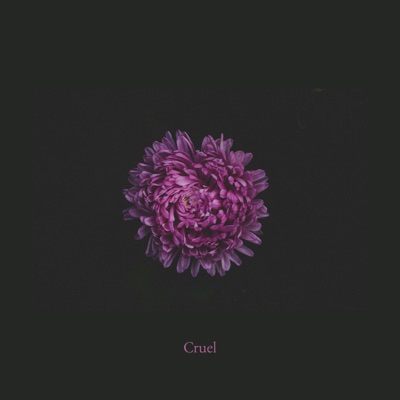 Cruel - Single