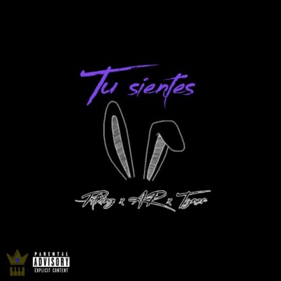 Tu Sientes (feat. AR & Tyner on the Track) - Single