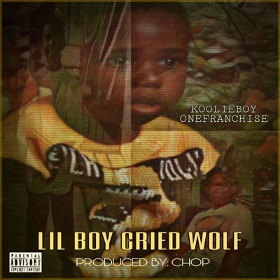 Lil Boy Cried Wolf - Single