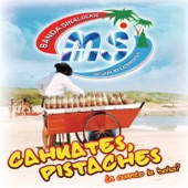 Banda Sinaloense MS de Sergio Lizárraga - Cahuates, Pistaches