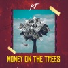 Money on the Trees - Single