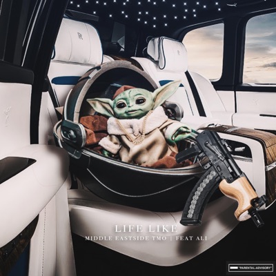 Life Like (feat. Ali) - Single