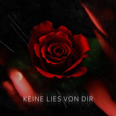 keine lies von dir - Single