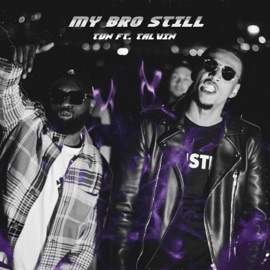 My Bro Still (feat. Talvin) Tun