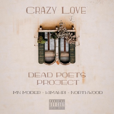 Crazy Love - Single