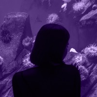 Aquarium - Single - Lilac